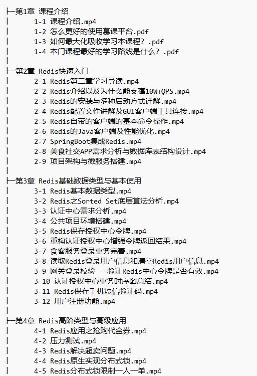 高級Redis進(jìn)階課 解決Redis實際問題+掌握Redis6.x特性 視頻教程 下載 圖1