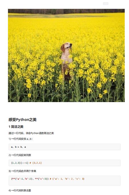 Python之路V2.0 PDF 下載 圖1