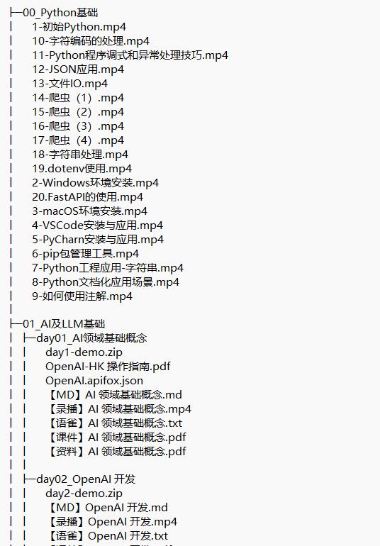 AI大模型視頻教程 下載 圖1