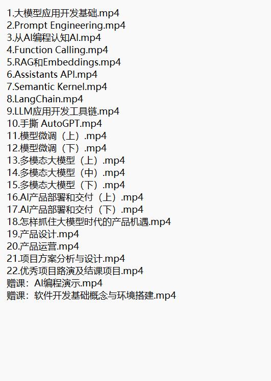 AI大模型入門 視頻教程 下載 圖1